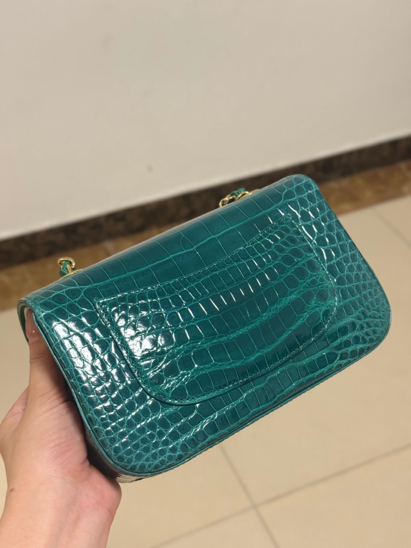 Vintage Alligator Texture Leather Handbag - Women’s Chain Shoulder Bag