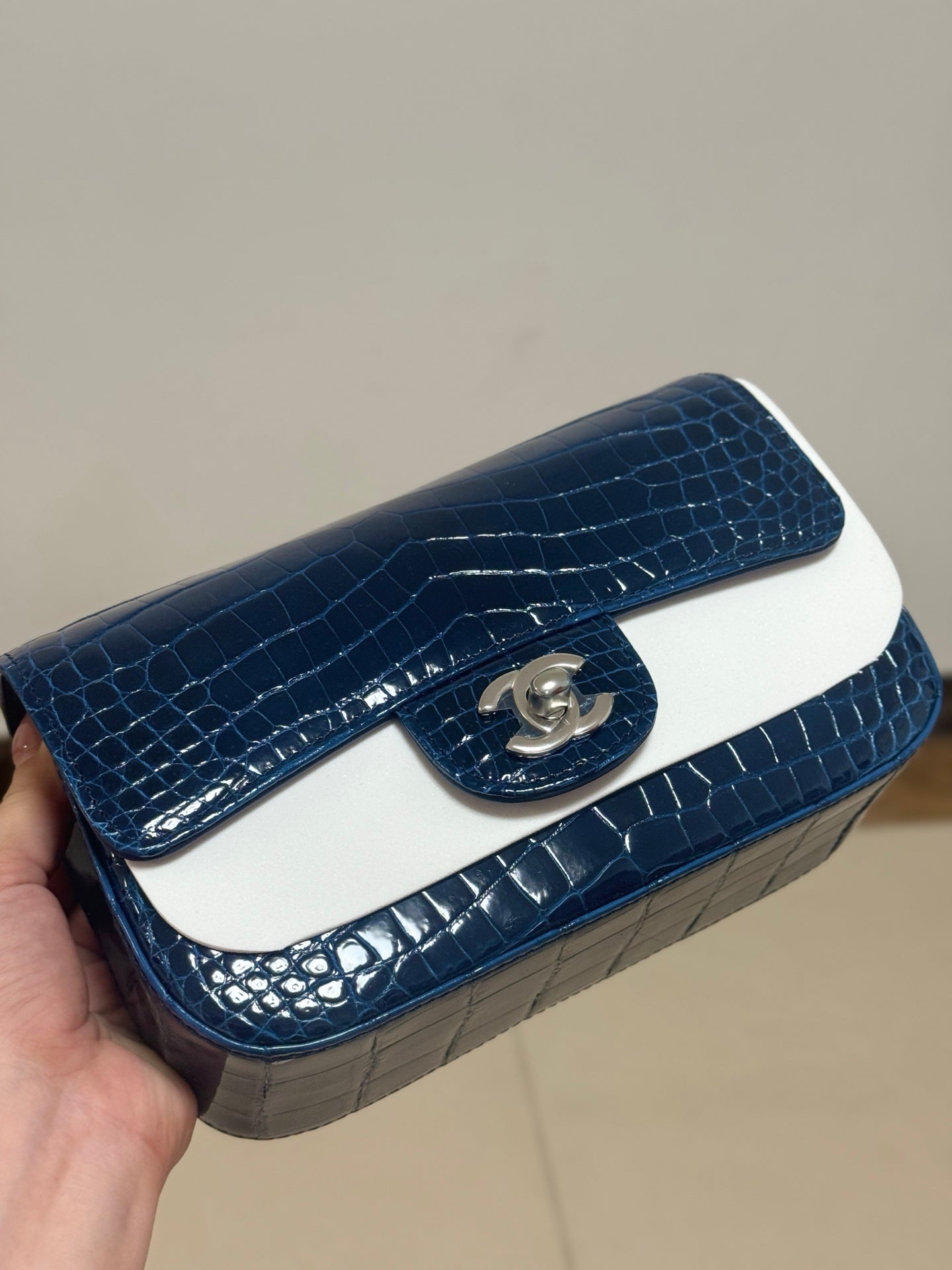 Vintage Alligator Texture Leather Handbag - Women’s Chain Shoulder Bag